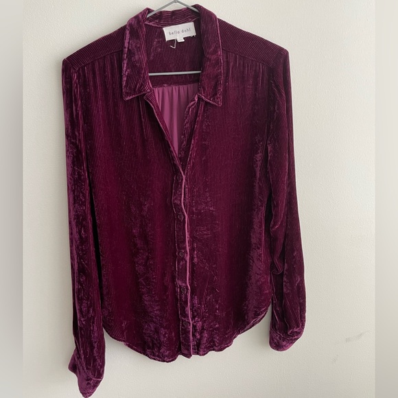 Crushed Velvet V-Neck Button Up Blouse - Picture 1 of 3